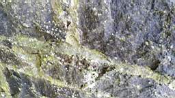 acastle
                          105350.jpg